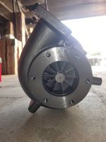 آکسور شواتزر - تصویر 2